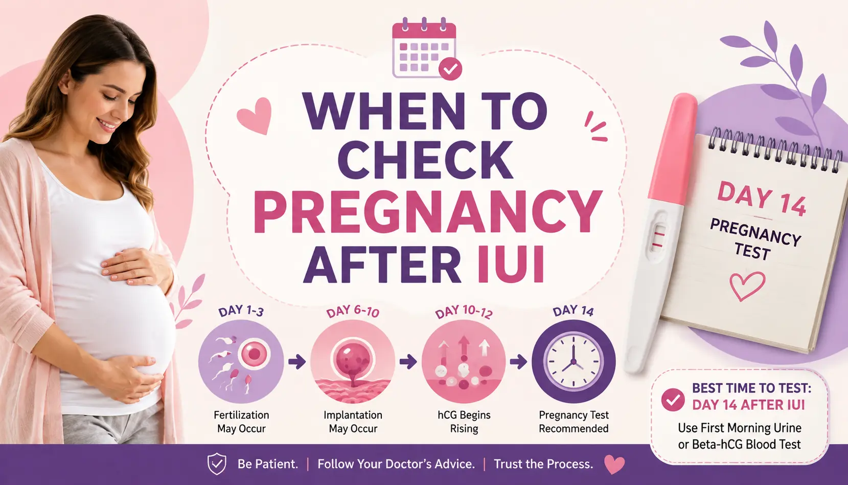 when to check pregnancy after IUI – Day 14 pregnancy test timeline showing implantation and hCG detection