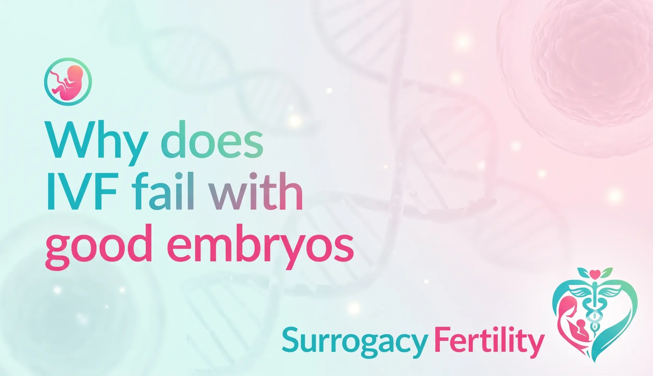 A healthcare professional holding a microscopic image of an embryo during a fertility consultation, illustrating why does IVF fail with good embryos.
